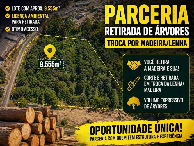 Parceria - Retirada de árvores em lote (troca por madeira/lenha)