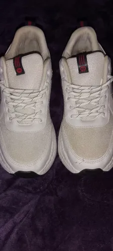 Tenis