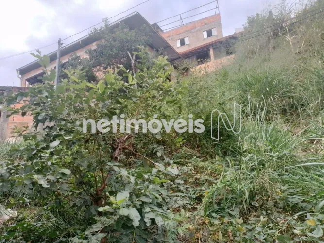Venda Lote-Área-Terreno Jardim Vitória Belo Horizonte