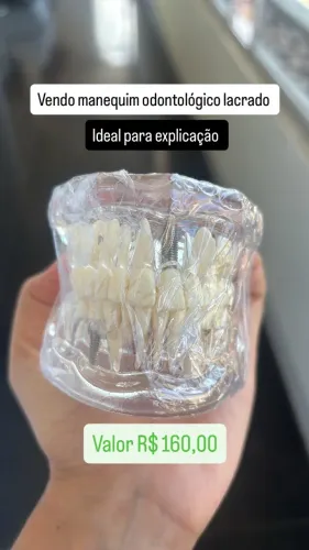 Manequim Odontológico Didático Acrílico Transparente (Com Implantes) - Novo/Lacrado
