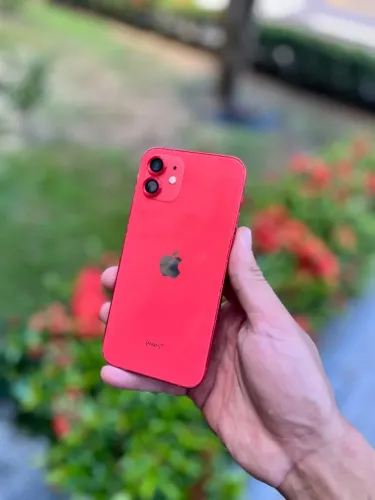 iPhone 12 coral 