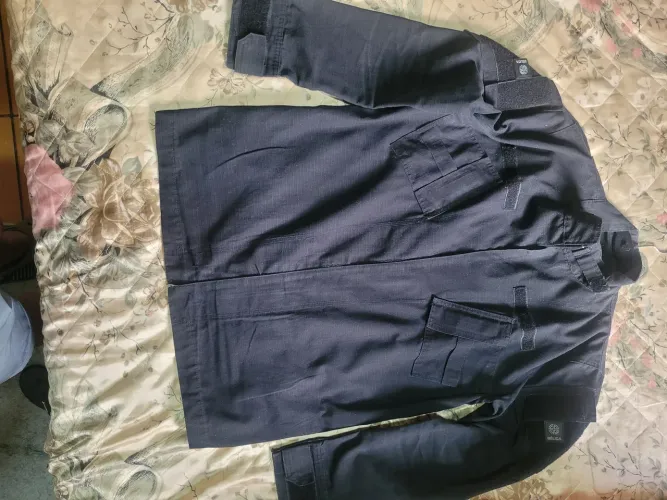 Gandola tatica (Bélica)