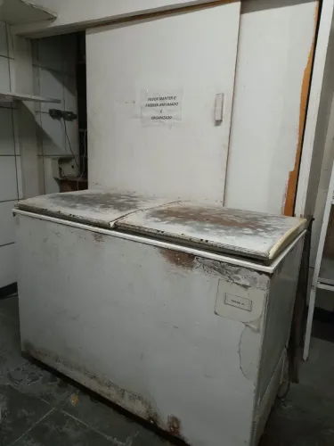 Frizer horizontal 575