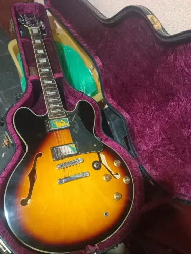 Guitarra semi acústica, Tagima
