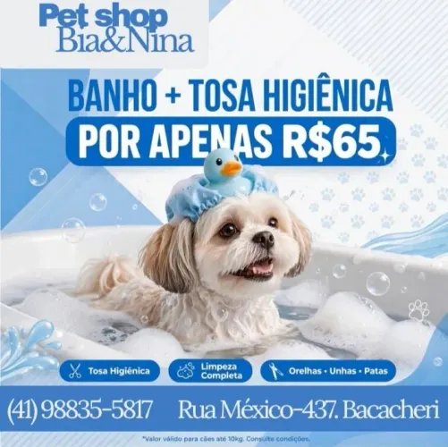Banho e tosa Higiênica