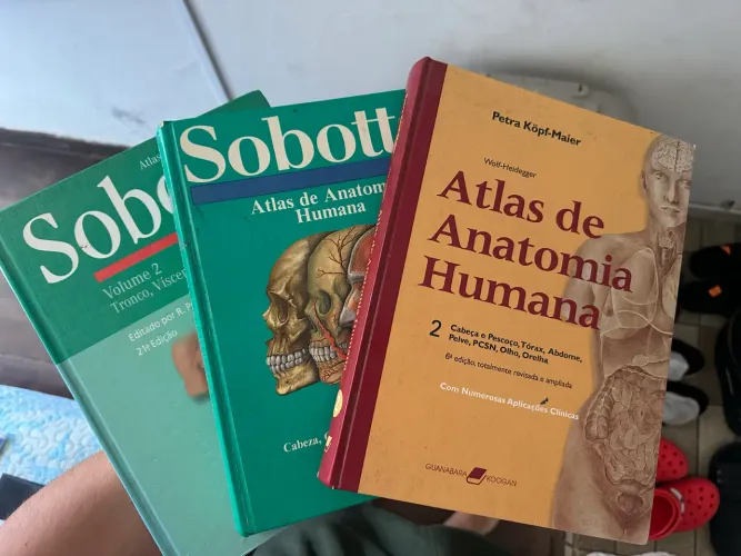 Livros Atlas Anatomia