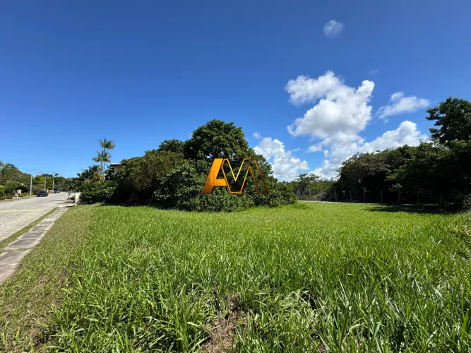 LOTE PLANO FRENTE RUA EM BUSCA VIDA