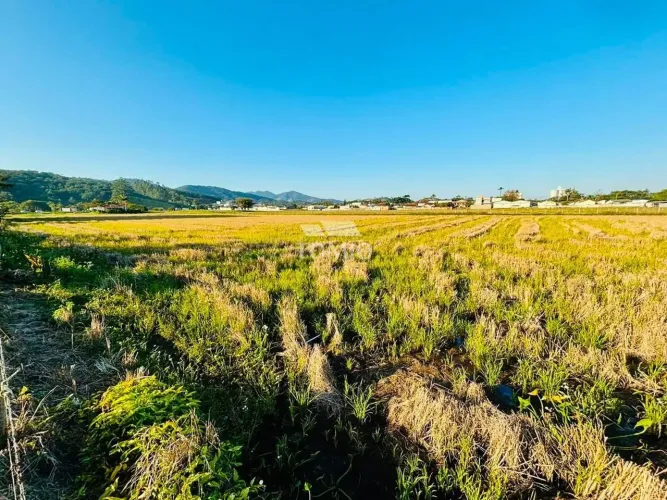Lote/Terreno à Venda, Margem Esquerda - Gaspar