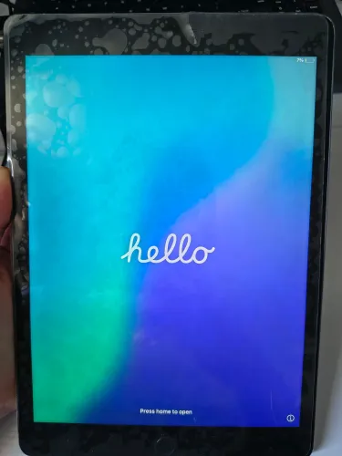 iPad 9ª Geração 64 GB Wi-Fi -tela precisa de substituição