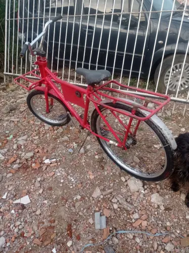 Bicicleta cargueira