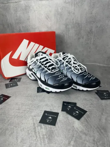 Air max TN Premium , N°39