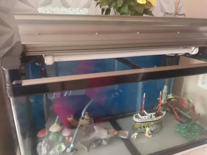 Aquario 170litros