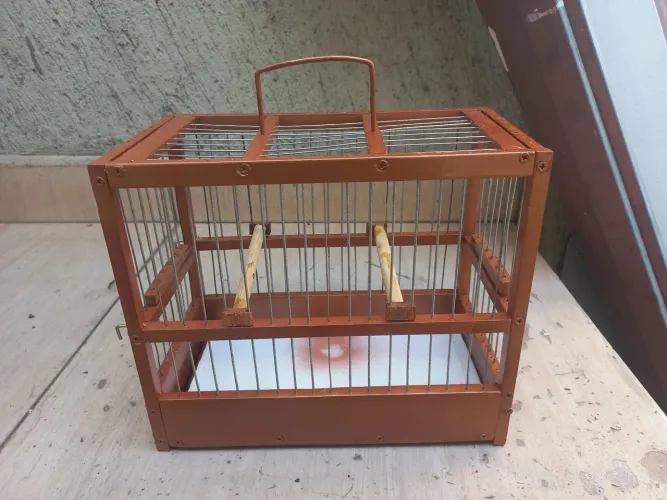 Transportador