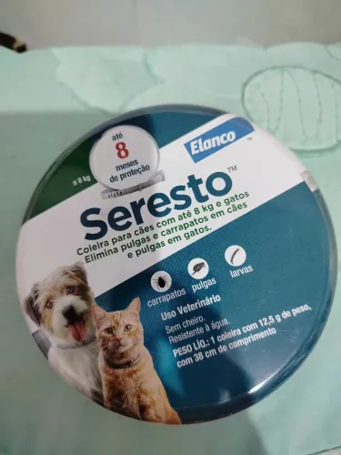 Para cães e gatos 