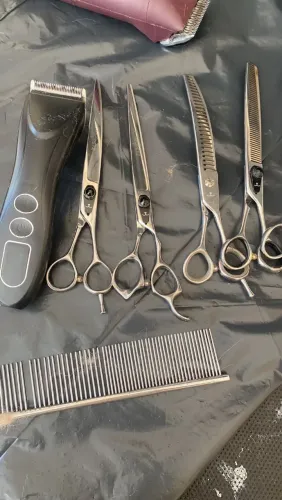 Vendo todos equipamentos para seu banho e tosa pet.