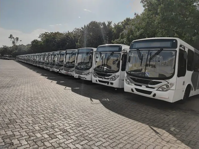 Onibus Urbanos e Rodoviários 2005 a 2019