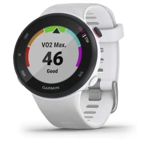 Garmin Forerunner 45S