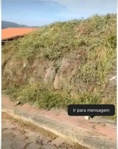 Vendo lote- analiso propostas 