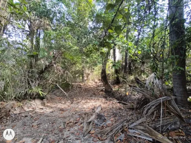 Fazenda em Lagoa do Piaui