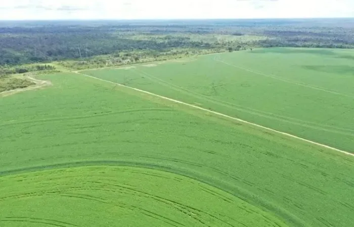 Fazenda á venda no sul do Maranhão com 400 hectares de soja, excelente localização a 3 km