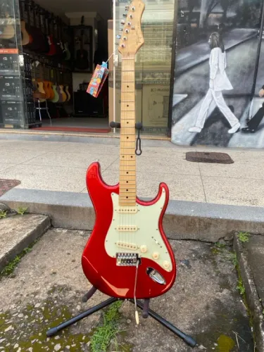 Guitarra Tagima WoodStock TG-530