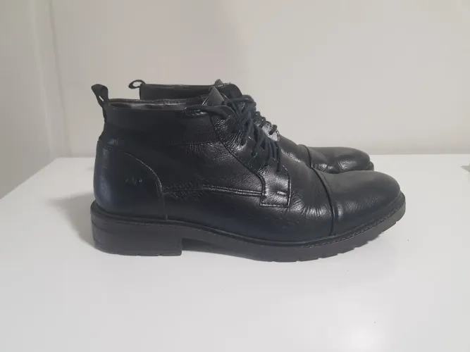 Bota Democrata 