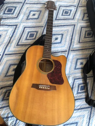 Violão Walden D550CE