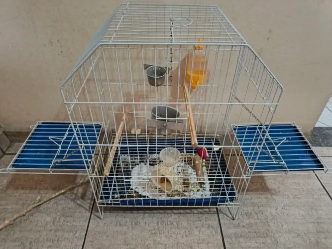 Gaiola para calopsita
