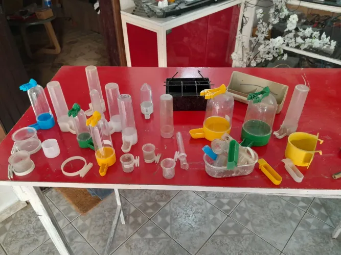 Bebedouros para pássaros 
