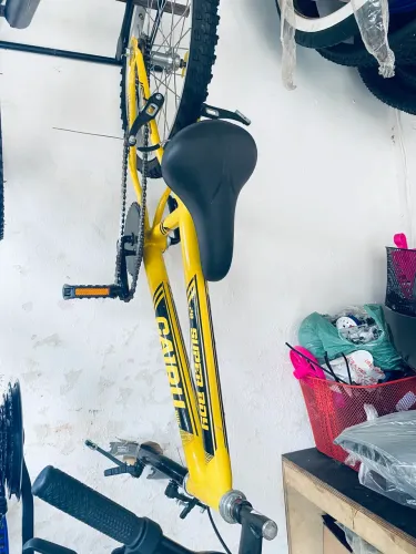 Bicicleta