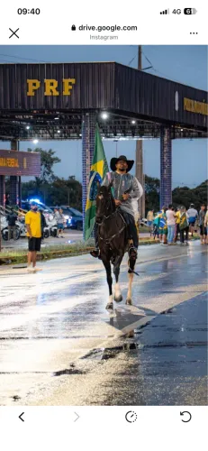 Mangalarga marchador