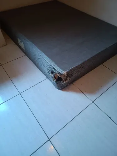 BOX CAMA DE CASAL, OPORTUNIDADE!