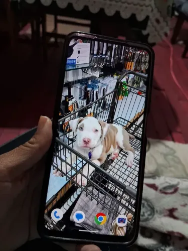 Motorola g35 5G 
