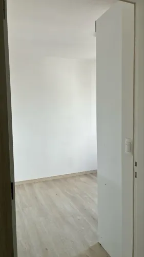 Dividir apartamento no Pagani com meninas