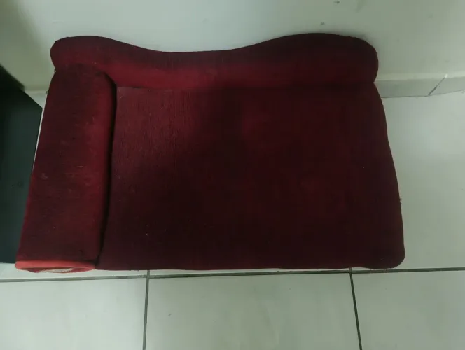 Cama de luxo para pet