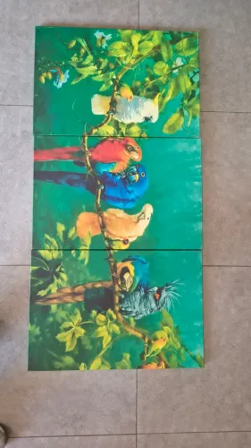 Quadros de parede 