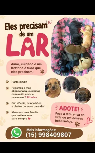 Doação responsável