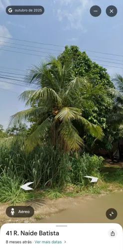 Terreno 12x 30 em Novo Airão