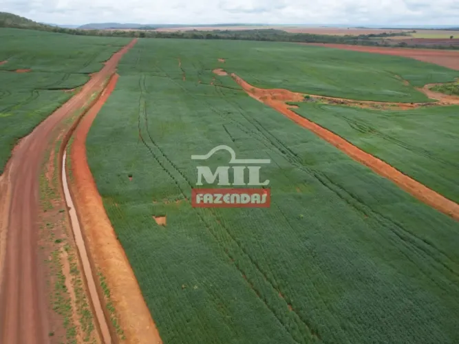 Fazenda 416,7 Alqueires (2.016.828 Hectares) Monte do Carmo - TO