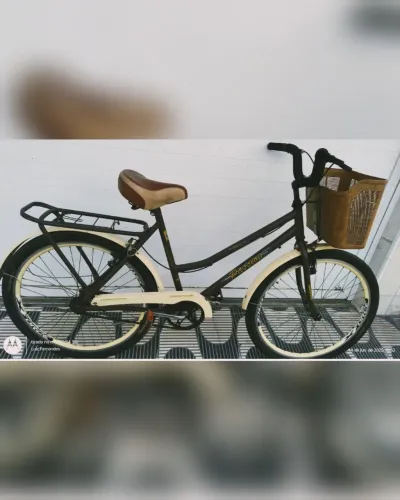 Bicicleta poti retrô