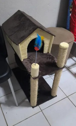 Casinha para gatos