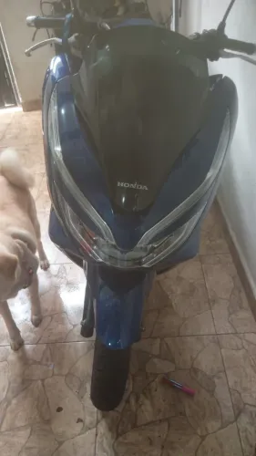 Pcx conservada, tem so uma detalhe do lado como mostra na foto