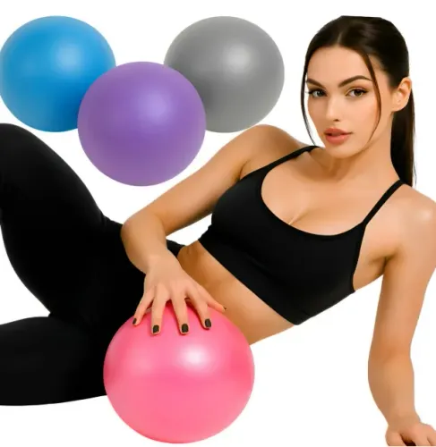 Bola Pilates Overball Fisioterapia Yoga Ginástica Suiça 25cm