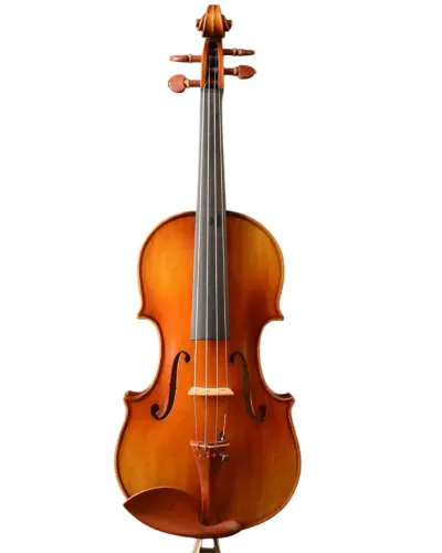 violino Guarnieri "The Cannon" 1743