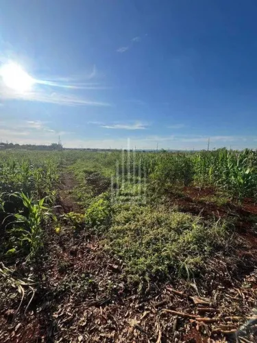 Terreno à venda, Centro - Foz do Iguaçu/PR