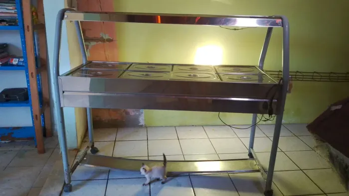 Richout elétrico