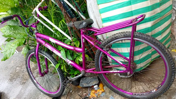 Bicicleta feminina