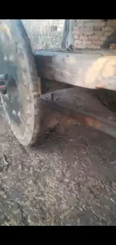 Carro de boi conservado. 6mil