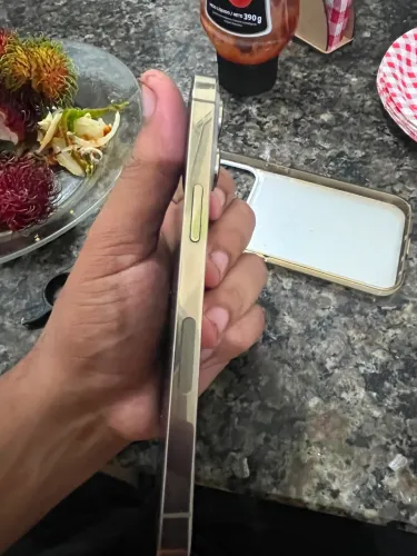 iPhone 13pro