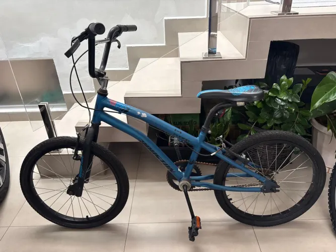 BMX HOUSTON FURION